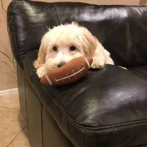 Meet your Posher, Vuong